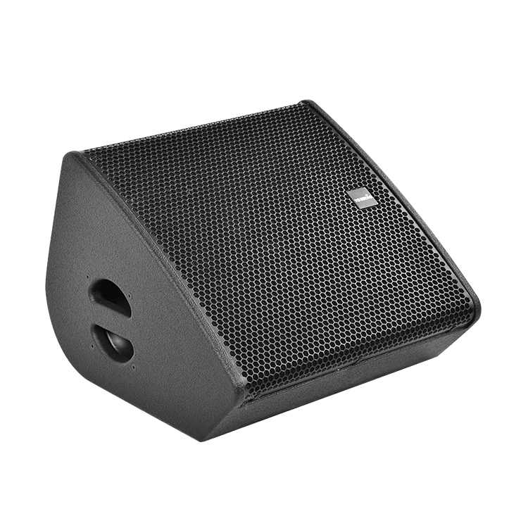 M5 15'' stage monitor for outdoor/indoor touring performance 